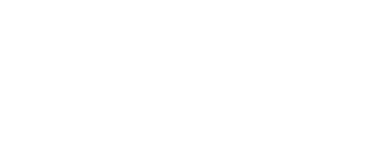 FETT logo